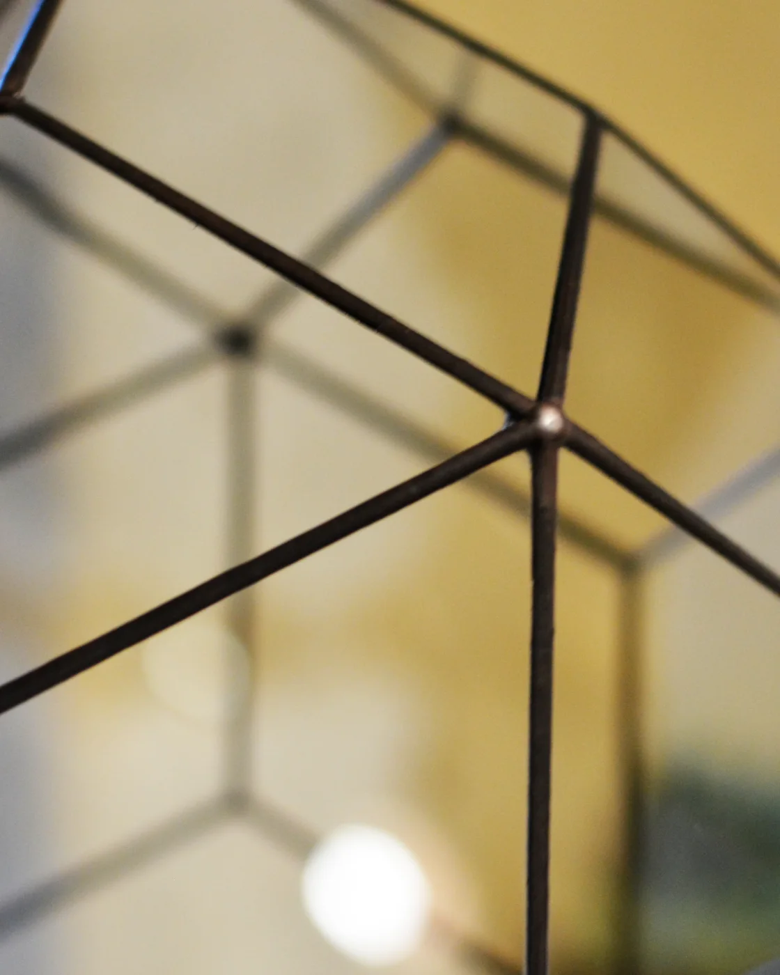 Rhombic Triacontahedron, detail of the rhombi