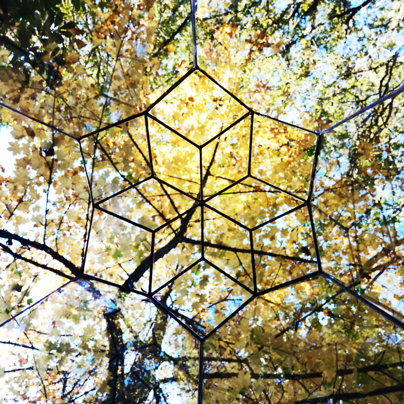 A geometry seen from within, its axes carried on by the branches